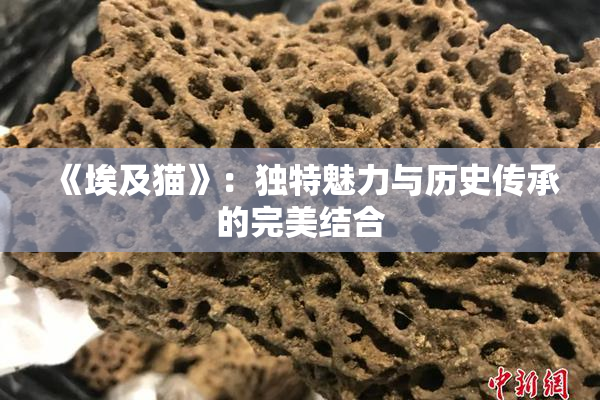 《埃及猫》：独特魅力与历史传承的完美结合