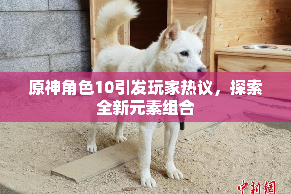 原神角色10引发玩家热议，探索全新元素组合