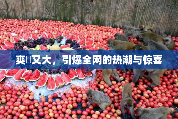 爽擼又大，引爆全网的热潮与惊喜