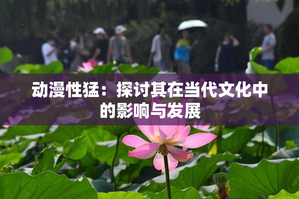 动漫性猛：探讨其在当代文化中的影响与发展