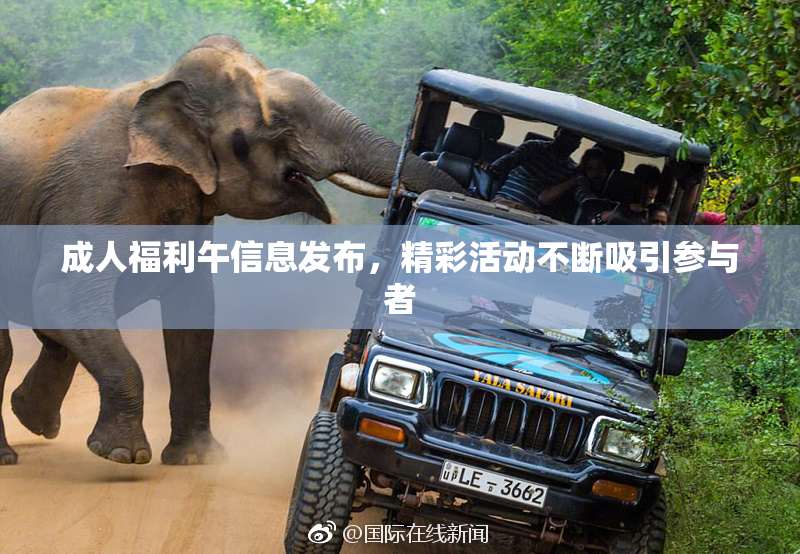 成人福利午信息发布，精彩活动不断吸引参与者