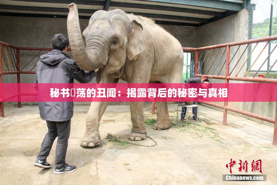 秘书婬荡的丑闻：揭露背后的秘密与真相