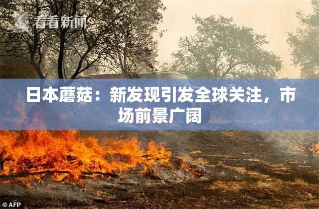 日本蘑菇：新发现引发全球关注，市场前景广阔