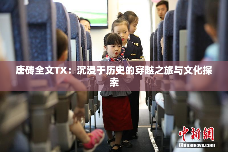 唐砖全文TX：沉浸于历史的穿越之旅与文化探索