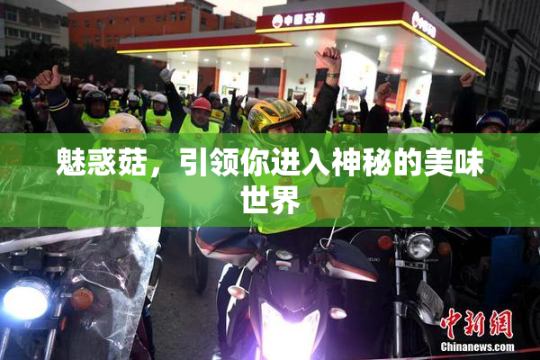 魅惑菇，引领你进入神秘的美味世界