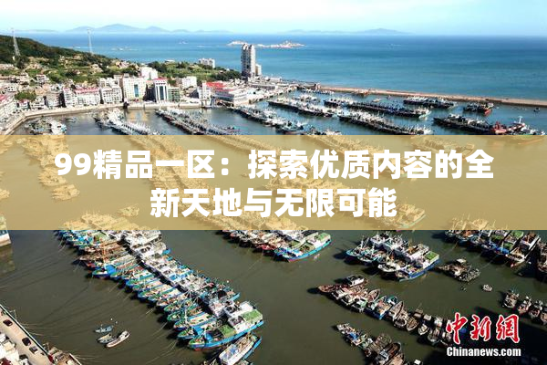 99精品一区：探索优质内容的全新天地与无限可能