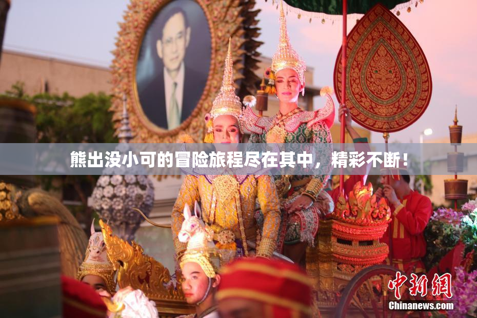 熊出没小可的冒险旅程尽在其中，精彩不断！