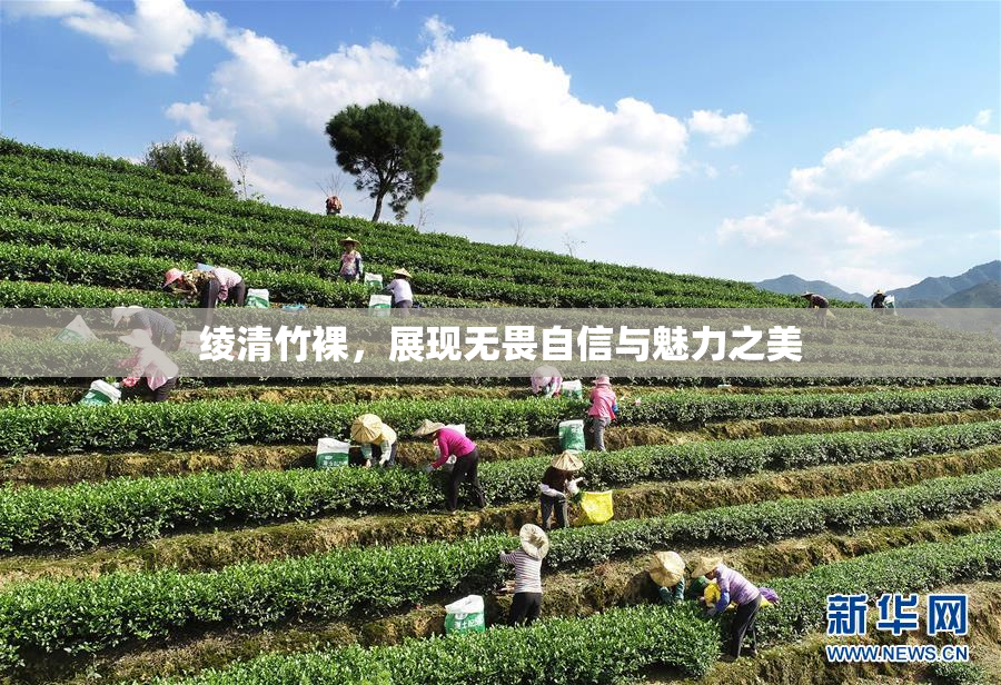 绫清竹裸，展现无畏自信与魅力之美