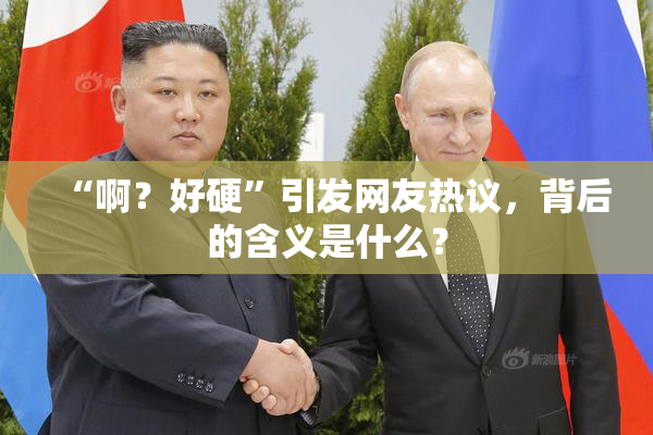 “啊？好硬”引发网友热议，背后的含义是什么？