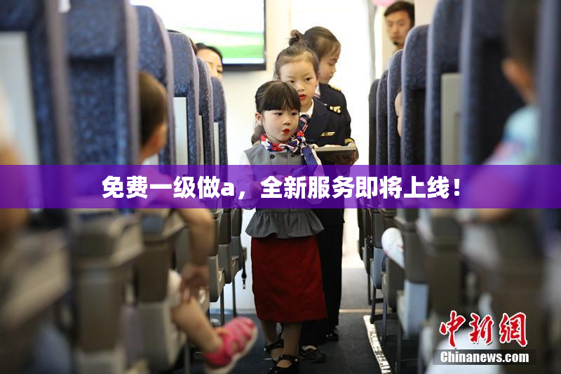 免费一级做a，全新服务即将上线！