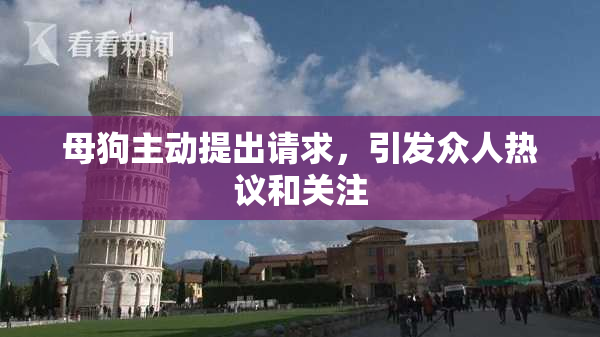 母狗主动提出请求，引发众人热议和关注