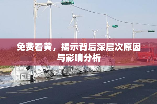 免费看黄，揭示背后深层次原因与影响分析
