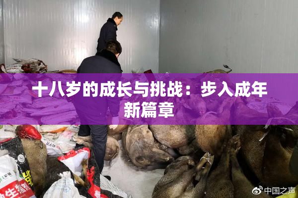 十八岁的成长与挑战：步入成年新篇章