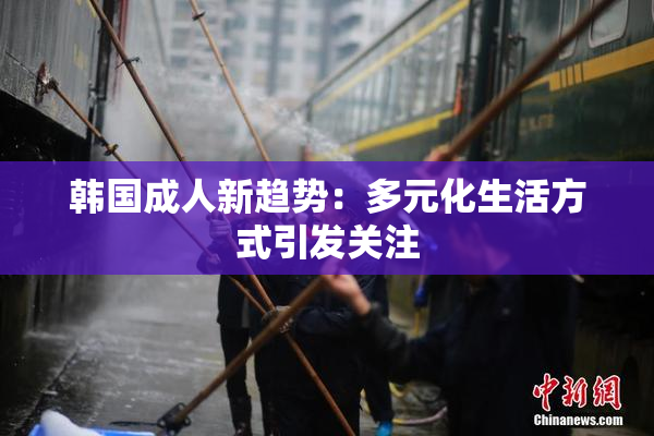 韩国成人新趋势：多元化生活方式引发关注