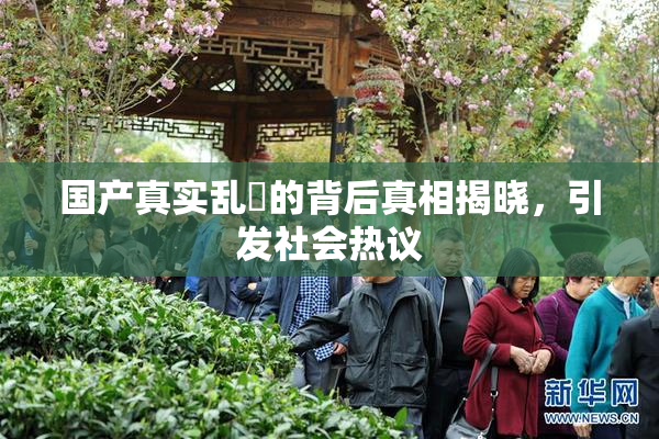 国产真实乱婬的背后真相揭晓，引发社会热议