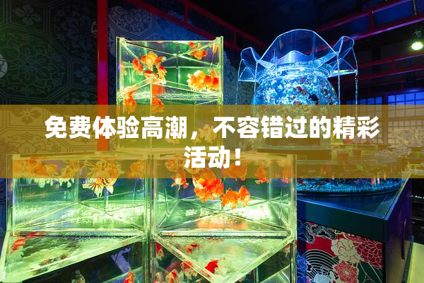 免费体验高潮，不容错过的精彩活动！