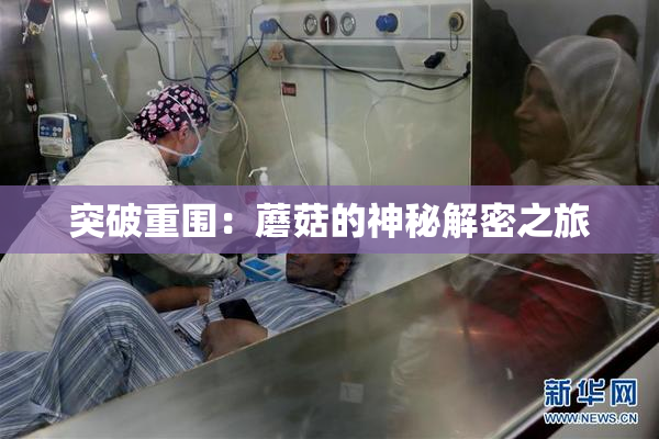 突破重围：蘑菇的神秘解密之旅