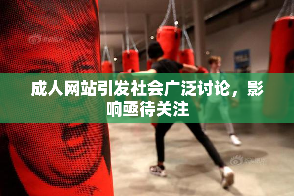 成人网站引发社会广泛讨论，影响亟待关注