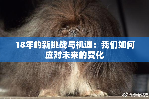 18年的新挑战与机遇：我们如何应对未来的变化