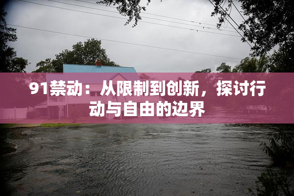 91禁动：从限制到创新，探讨行动与自由的边界