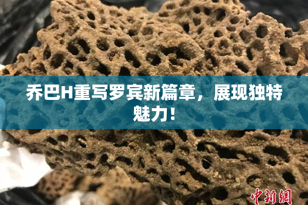 乔巴H重写罗宾新篇章，展现独特魅力！