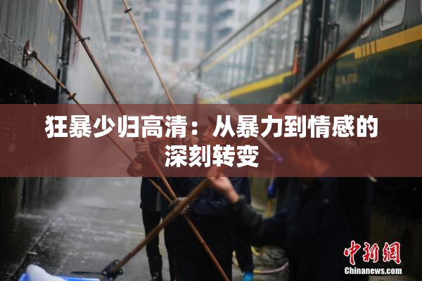 狂暴少归高清：从暴力到情感的深刻转变