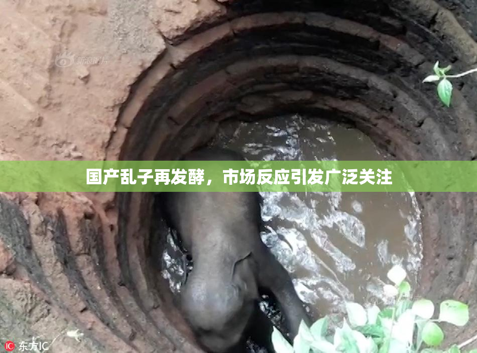 国产乱子再发酵，市场反应引发广泛关注