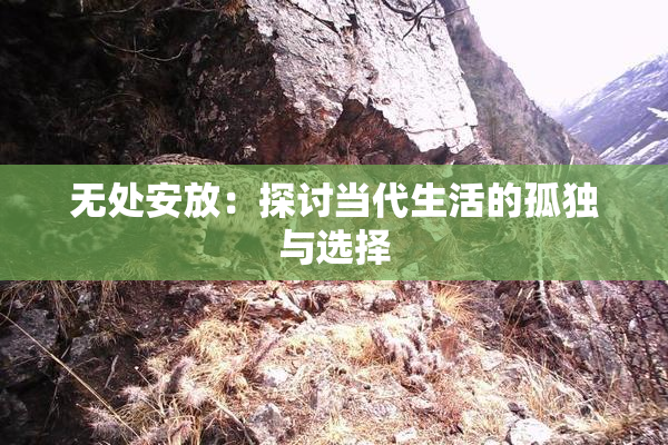 无处安放：探讨当代生活的孤独与选择