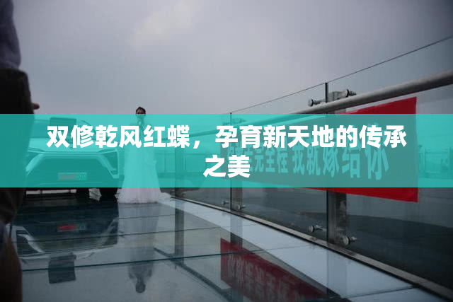 双修乾风红蝶，孕育新天地的传承之美