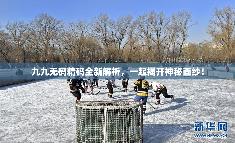九九无码精码全新解析，一起揭开神秘面纱！
