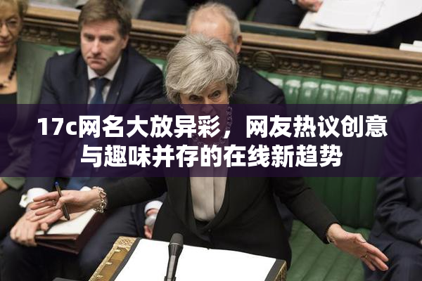 17c网名大放异彩，网友热议创意与趣味并存的在线新趋势