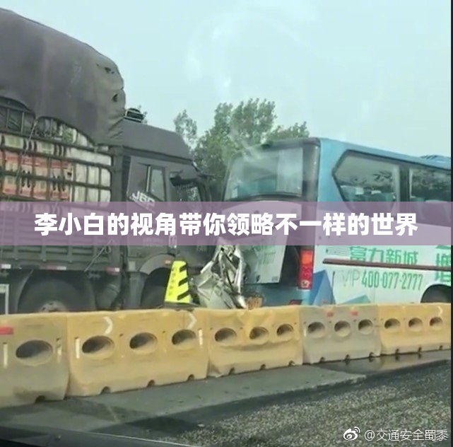 李小白的视角带你领略不一样的世界