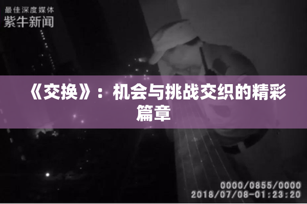 《交换》：机会与挑战交织的精彩篇章