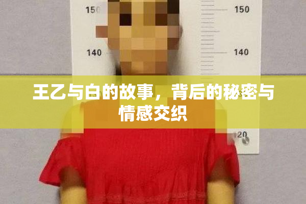 王乙与白的故事，背后的秘密与情感交织