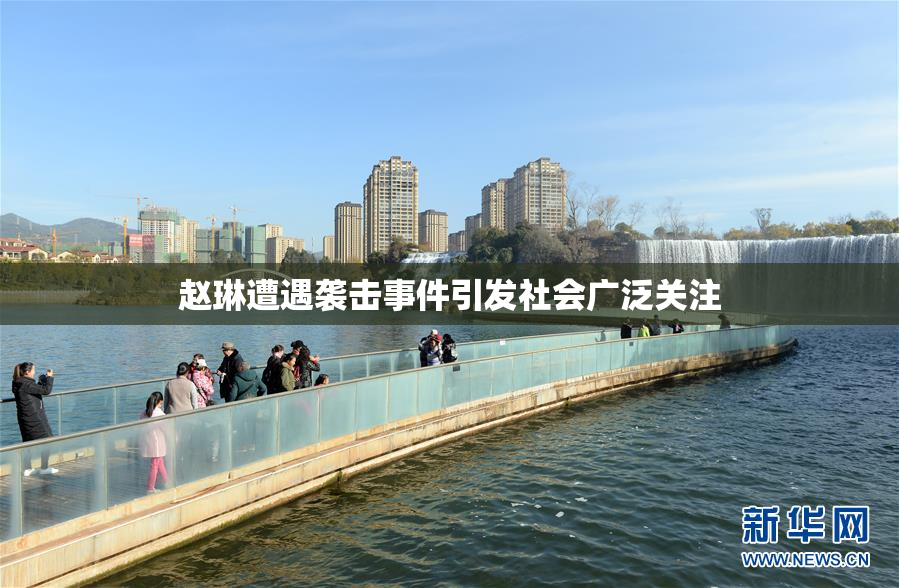 赵琳遭遇袭击事件引发社会广泛关注