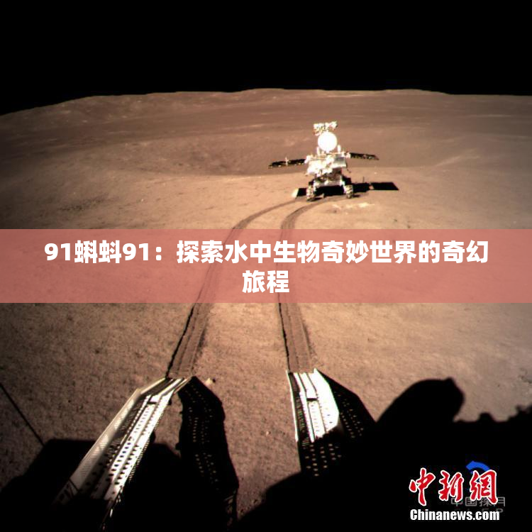 91蝌蚪91：探索水中生物奇妙世界的奇幻旅程