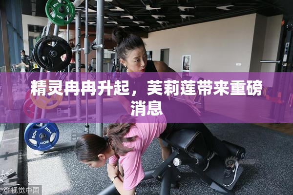 精灵冉冉升起，芙莉莲带来重磅消息