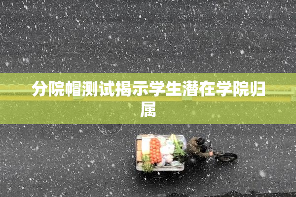分院帽测试揭示学生潜在学院归属