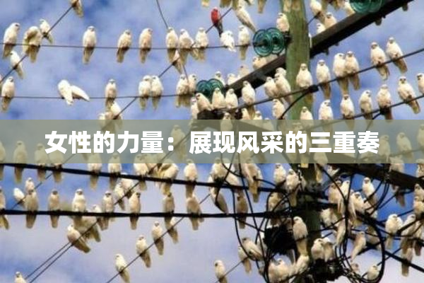 女性的力量：展现风采的三重奏