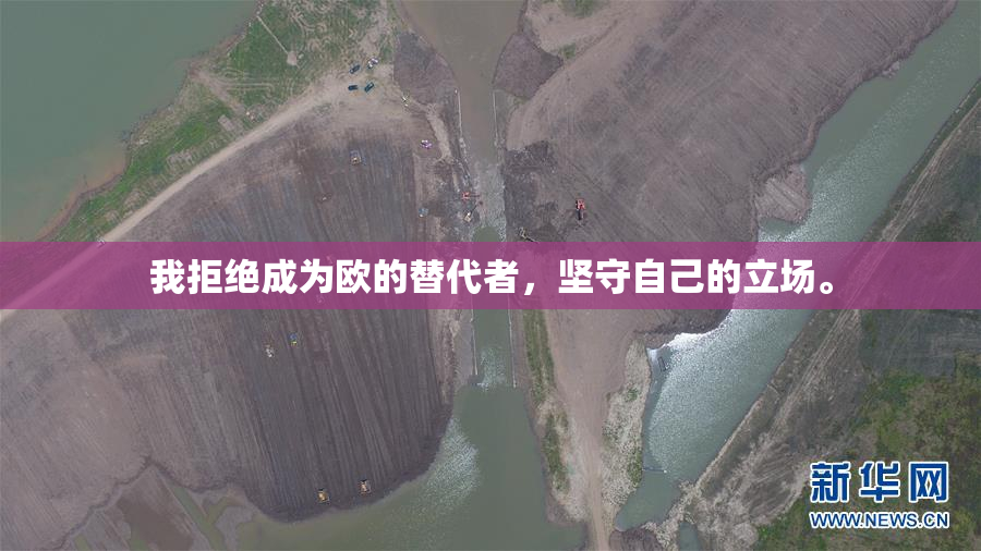 我拒绝成为欧的替代者，坚守自己的立场。