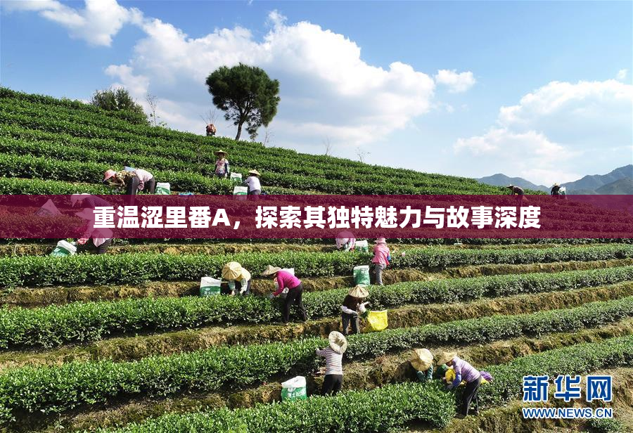 重温涩里番A，探索其独特魅力与故事深度