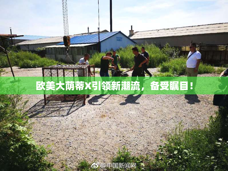 欧美大荫蒂X引领新潮流，备受瞩目！
