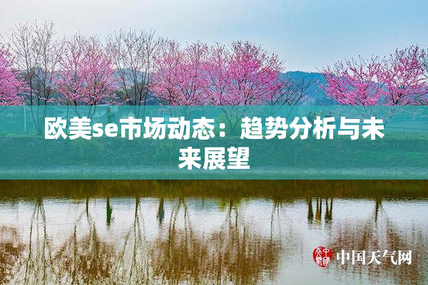 欧美se市场动态：趋势分析与未来展望