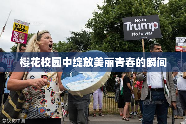 樱花校园中绽放美丽青春的瞬间