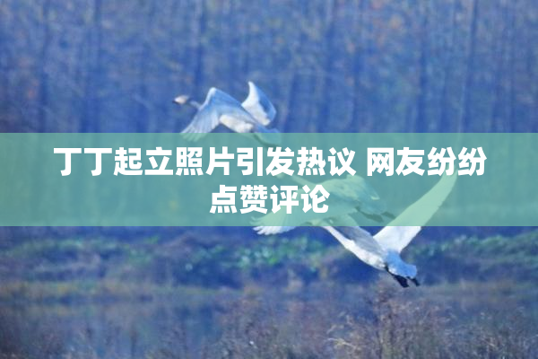 丁丁起立照片引发热议 网友纷纷点赞评论