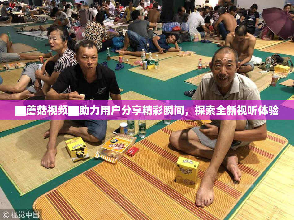 ▇蘑菇视频▇助力用户分享精彩瞬间，探索全新视听体验