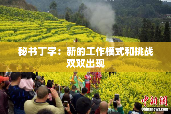 秘书丁字：新的工作模式和挑战双双出现