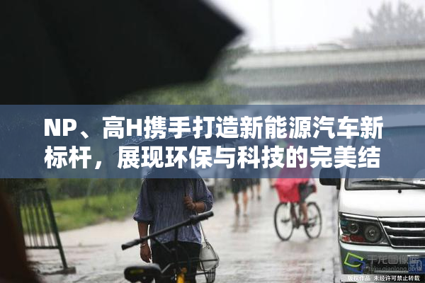 NP、高H携手打造新能源汽车新标杆，展现环保与科技的完美结合。