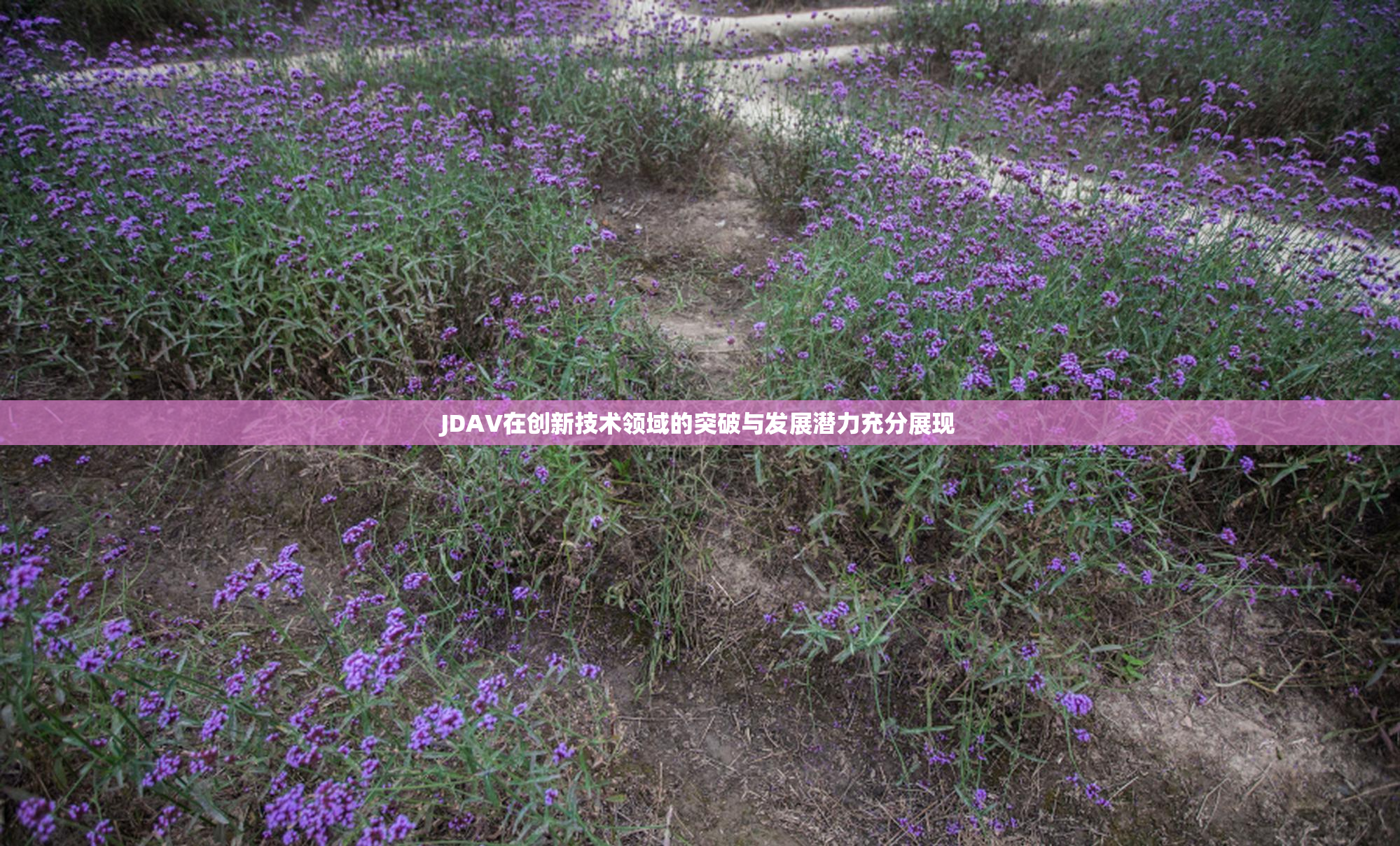 JDAV在创新技术领域的突破与发展潜力充分展现