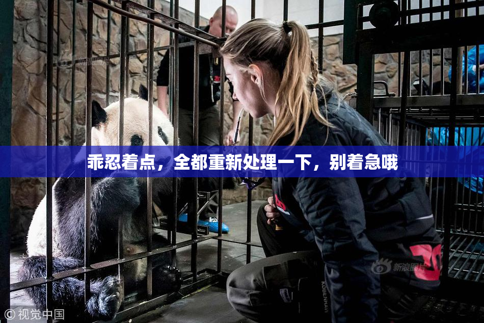 乖忍着点，全都重新处理一下，别着急哦